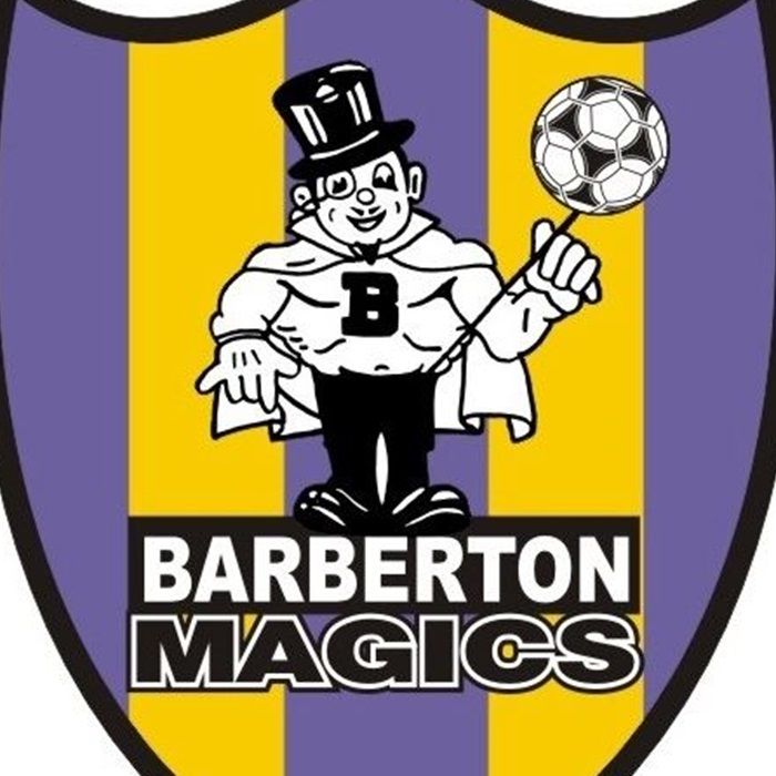 BHS Soccer Shield